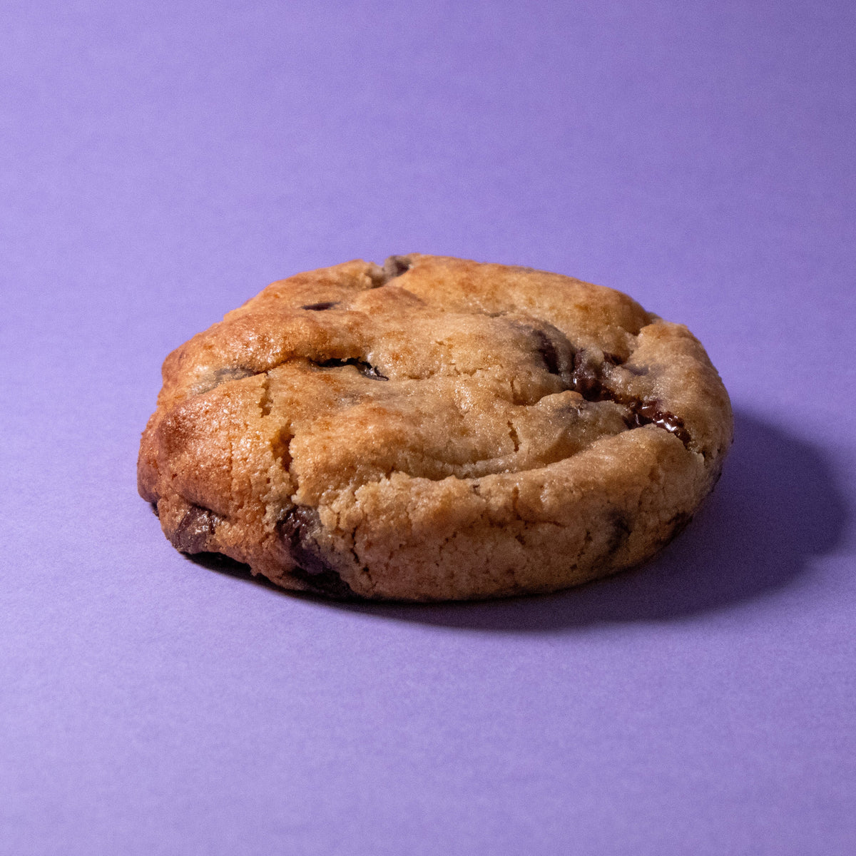 Chocolate Chip